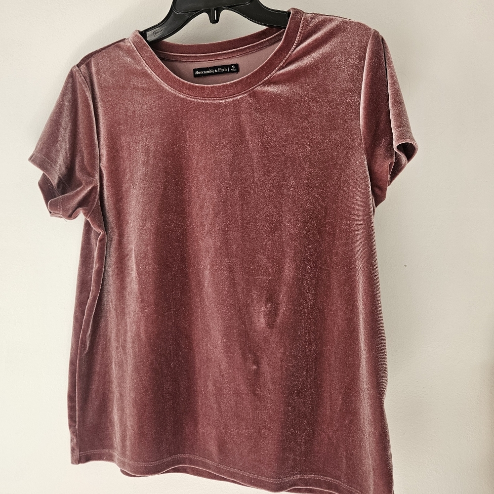 Abercambie And Fitch Short Sleeve Velvet Tee in Dusty Rose